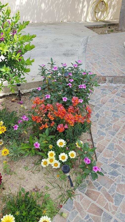 Lazaros Pissouri Apartments Dış mekan fotoğraf